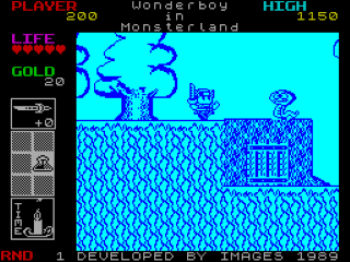 Super Wonder Boy screenshot 3 for ZX Spectrum